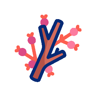 natural healing and holistic care concept